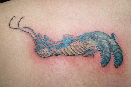 Tattoos - Precambrian Bug - 86197